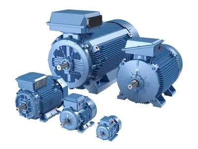 Motor With Flange
